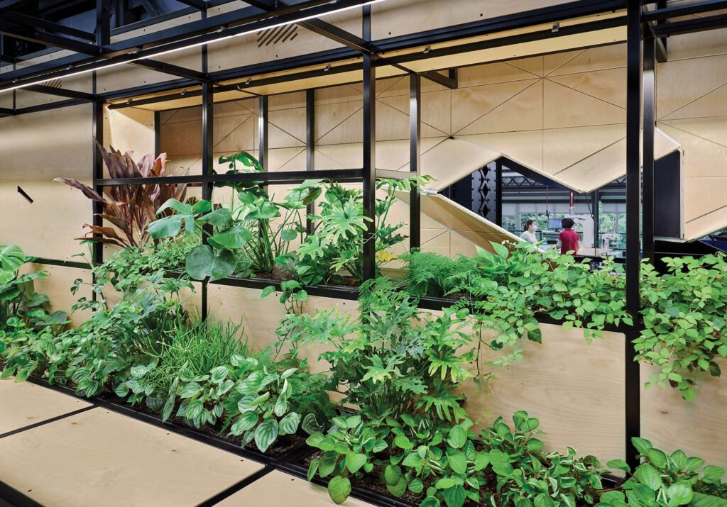 Monstera, ferns, and ivy grow inside custom steel planters, 