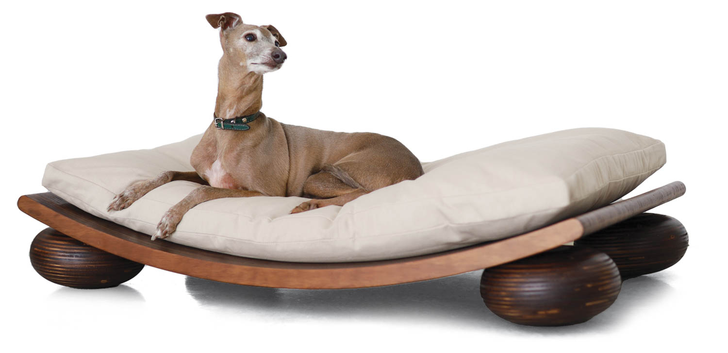 a dog sits on Ere's pet bed