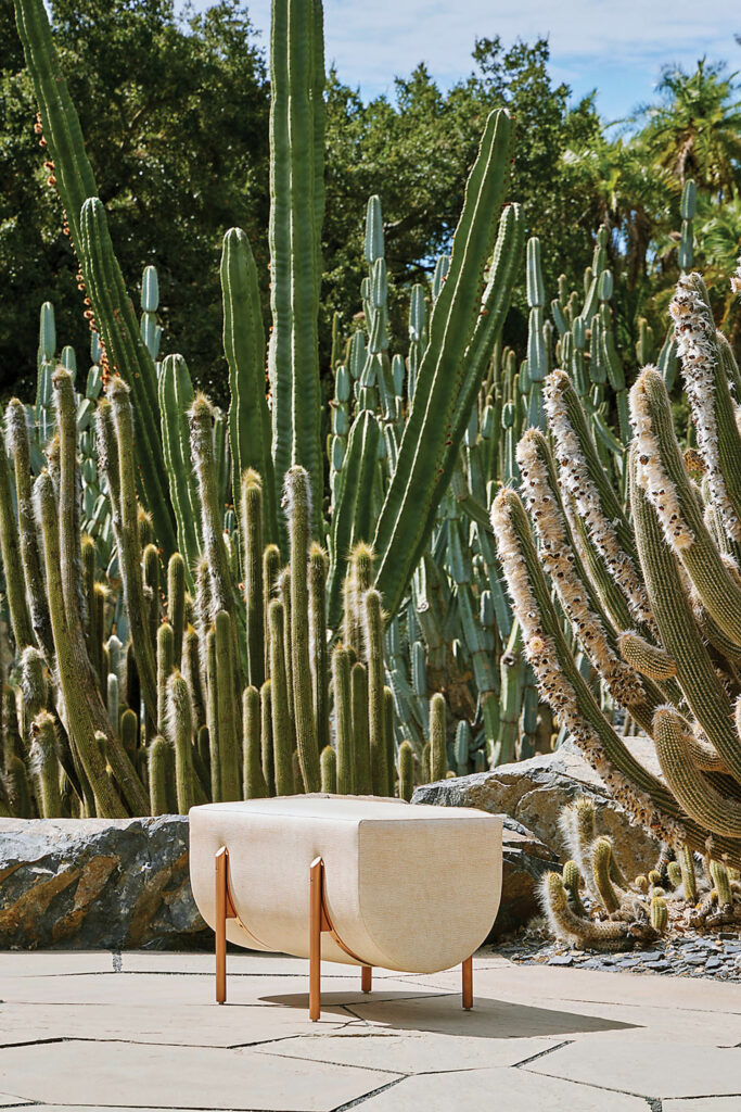 an upholstered bench in front of a group of cacti