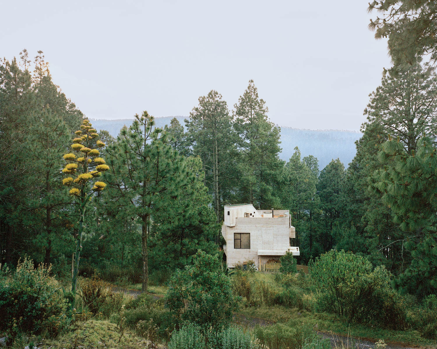trees surround a Brutalist bunker home in Mexico