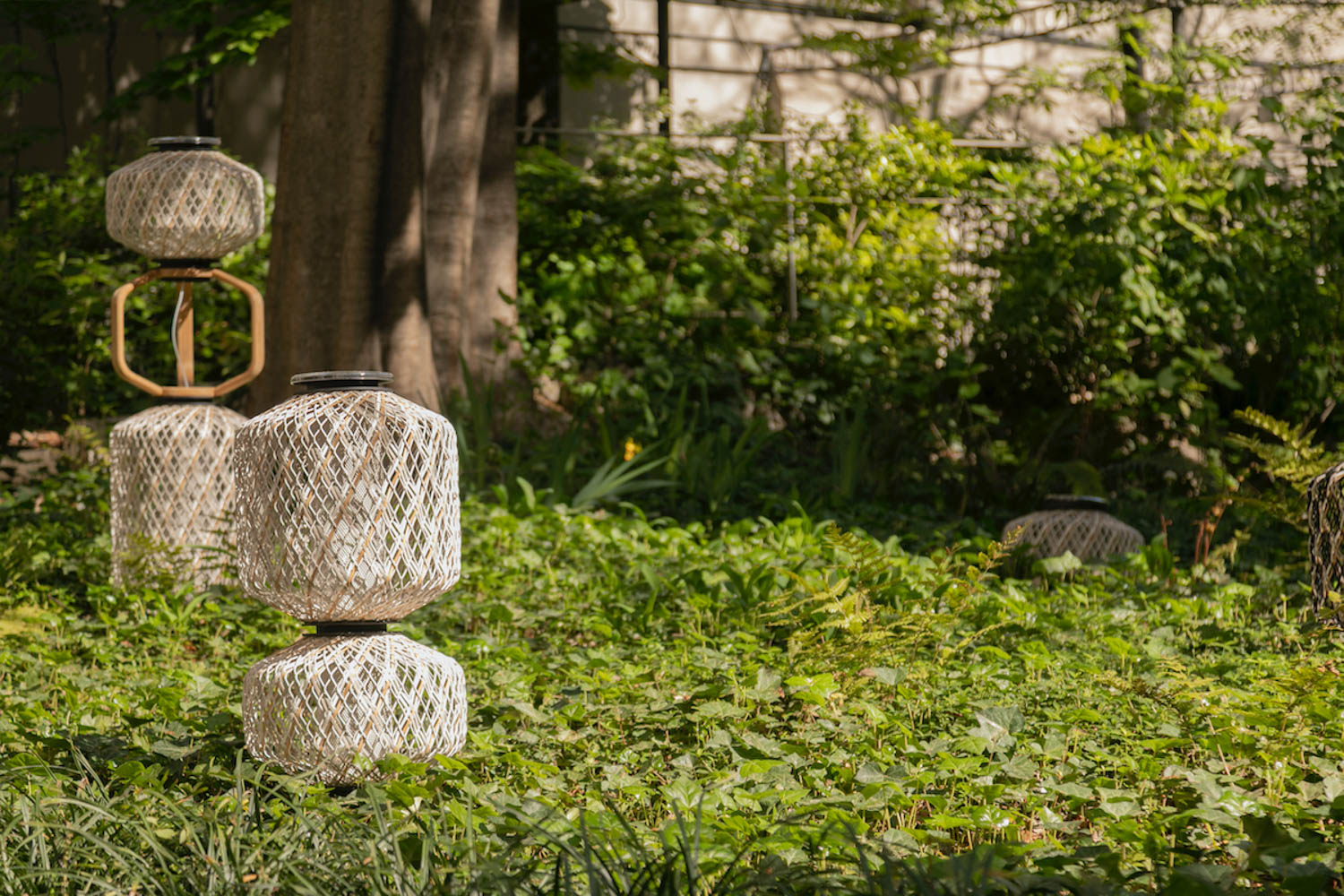 light fixtures sit among foliage in this Milan Design Week installation