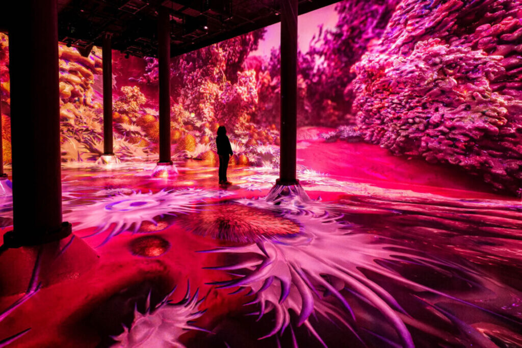 A person stands in a magenta immersive installation at Artechouse