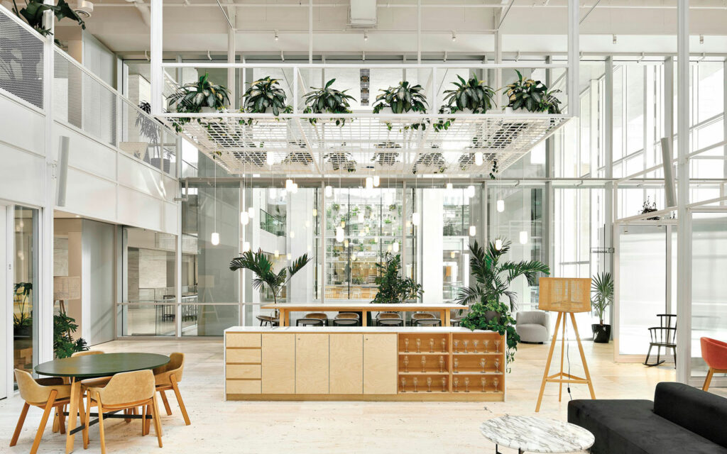 Scaffolding creates shelves for green leaft plants in the Bioquare office in Montreal